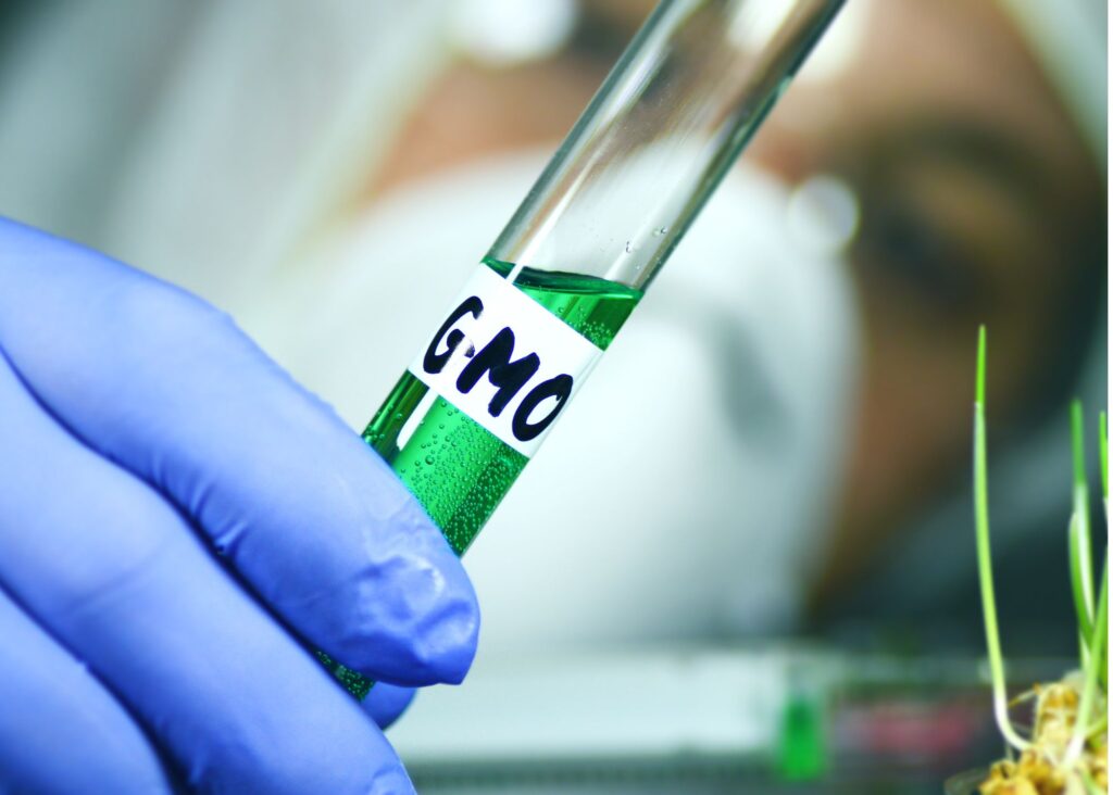 China’s Biotech Push: Gene-Editing and Crop Innovation for Agricultural Independence