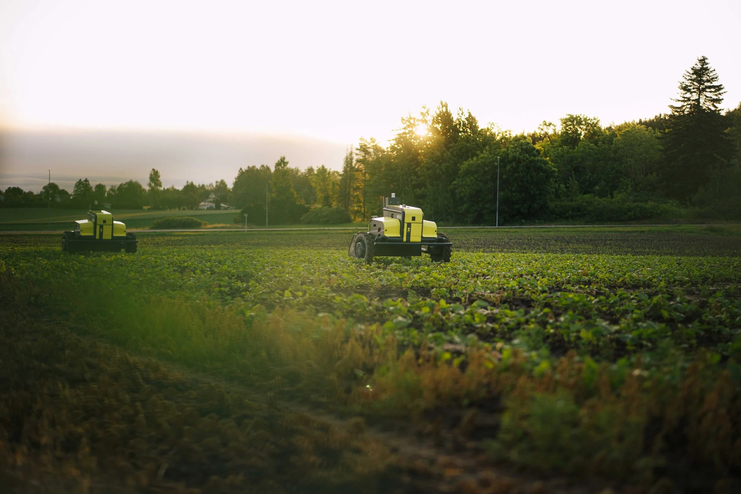 Kubota’s €6.5m wager on a single drop: why vegetable weeding is becoming a software problem